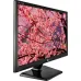 Monitor Led Hd D-sub 20m37aa LG