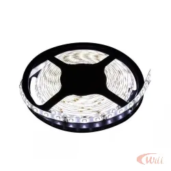 Fita LED 6500k 8w/m 12v IP20 5 Metros Avant