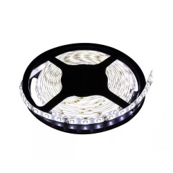 Fita LED 6500k 8w/m 12v IP20 5 Metros Avant
