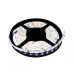 Fita LED 6500k 8w/m 12v IP20 5 Metros Avant