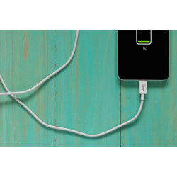 Cabo USB-C X USB-C 1 Metro CAUSB100CC Proeletronic